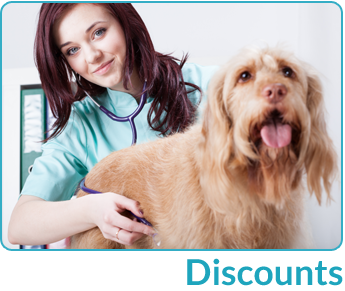Female Veterinarian with Dog in Cockeysville, MD